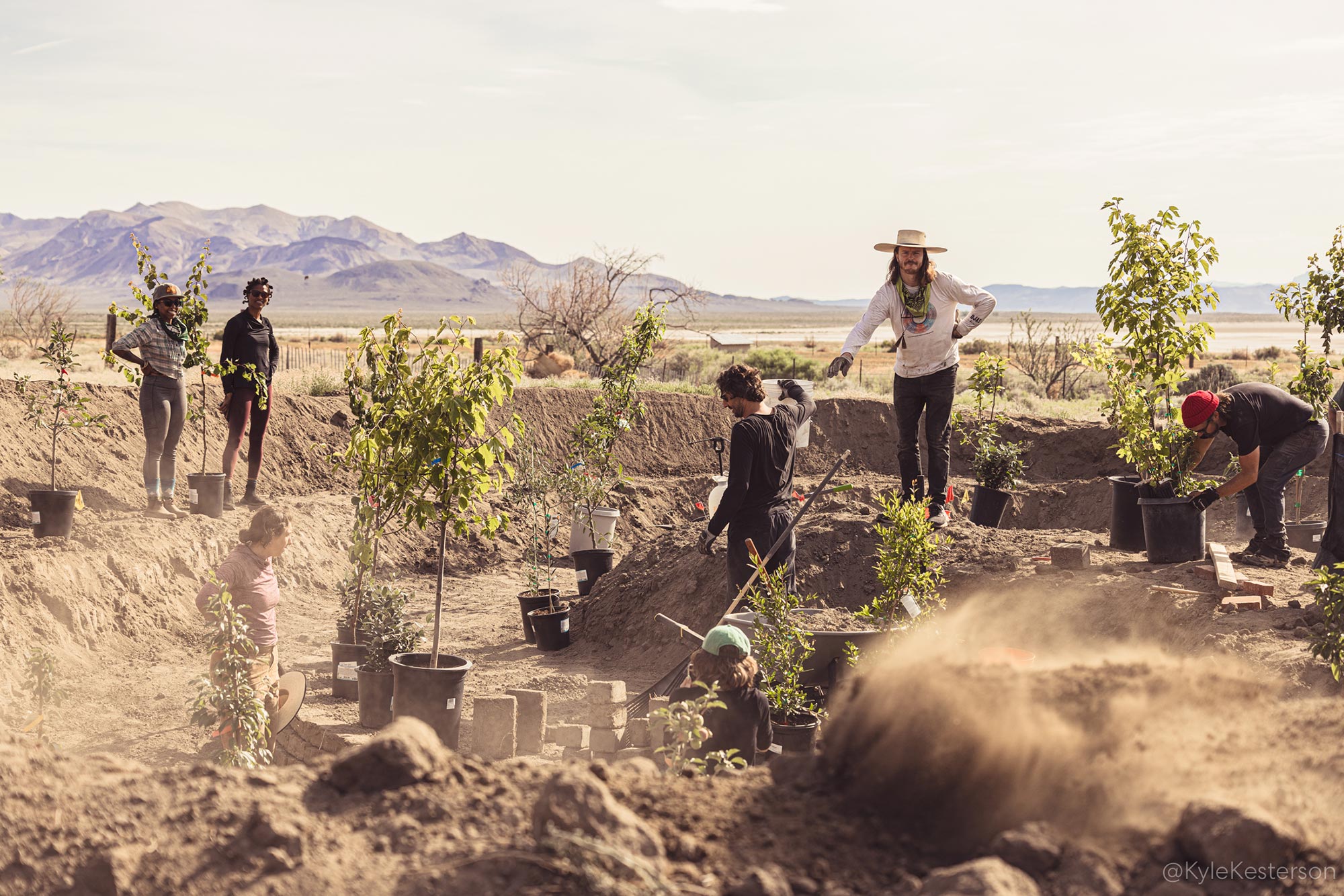 SEED - Burning Man